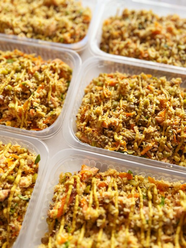 Salada de couscous marroquino, grãos e salmão na mostarda - prato sem lactose (300g)